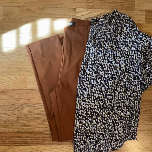 Rachel Zoe Chic rust pants size 10 - Picture 10 of 10
